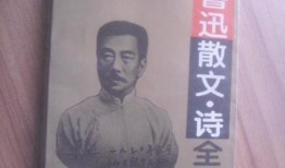 鲁迅爆料文章大全最新版,揭秘文坛风云，探寻大师内心世界