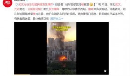 宜昌大事件爆料视频最新,揭秘惊人真相！
