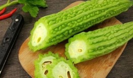 彻底摆烂吃瓜免费阅读,吃瓜免费，一场轻松的阅读盛宴